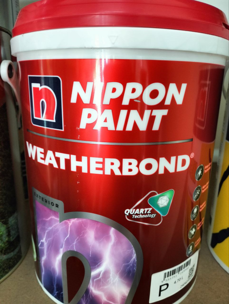 Paint